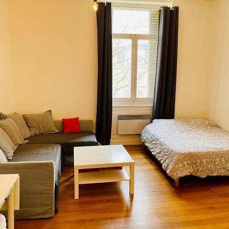 Апартаменти Studio Cosy De 28M2 Au Centre De Страсбург Екстер'єр фото